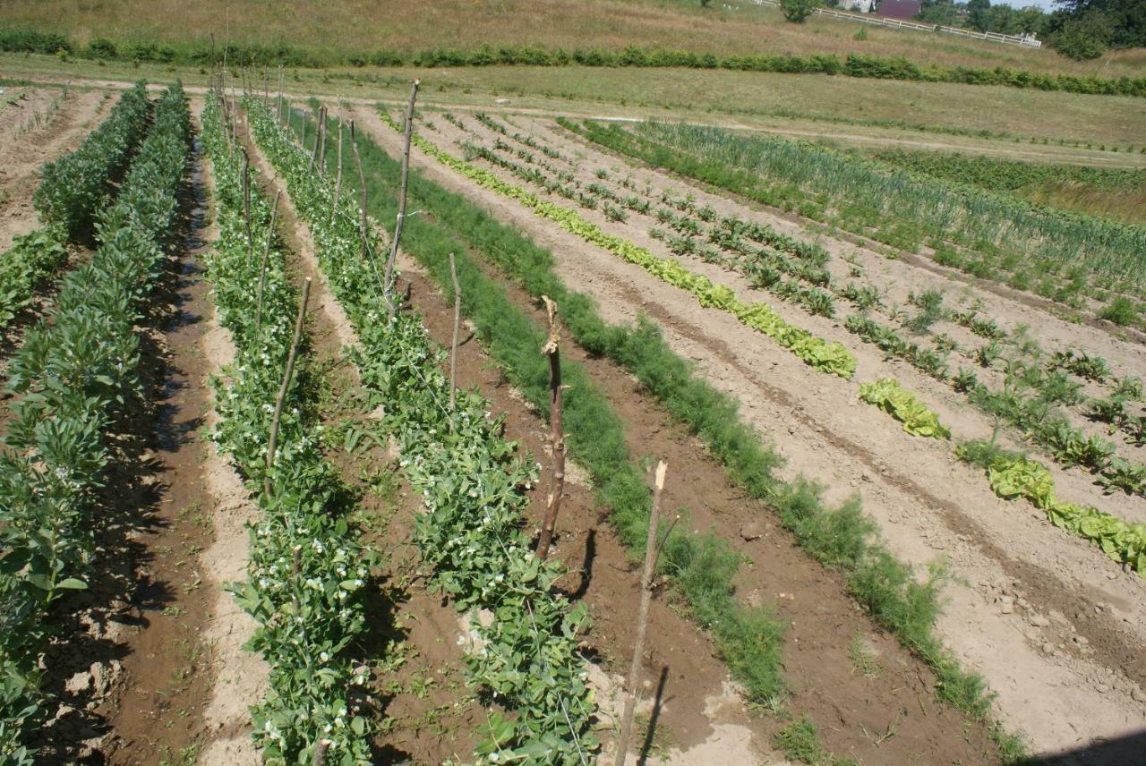 Agrodomki Okej -Dom Kasjan Gardna Wielka Exterior foto